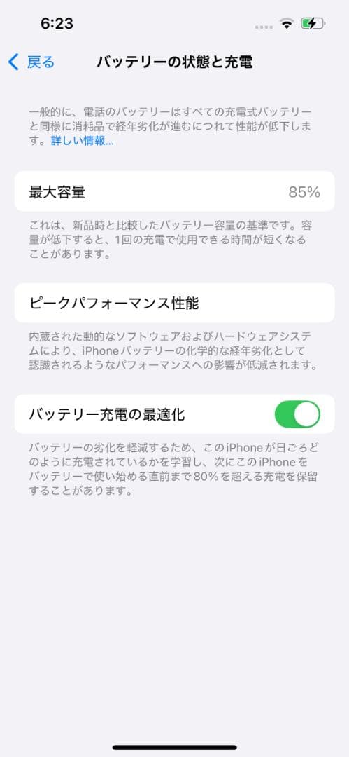 【充電器・ケース付き】iPhone 13 128GB
