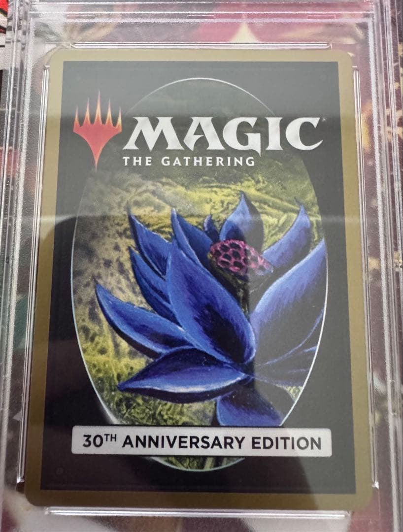 MTG Mox Ruby 旧枠30A PSA10連番