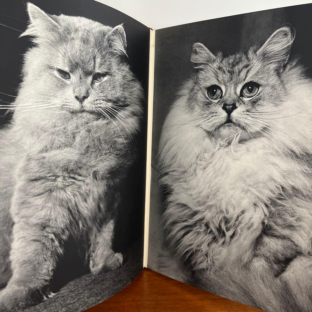 猫 写真集 CHATS HENRI SAAS フランスヴィンテージ