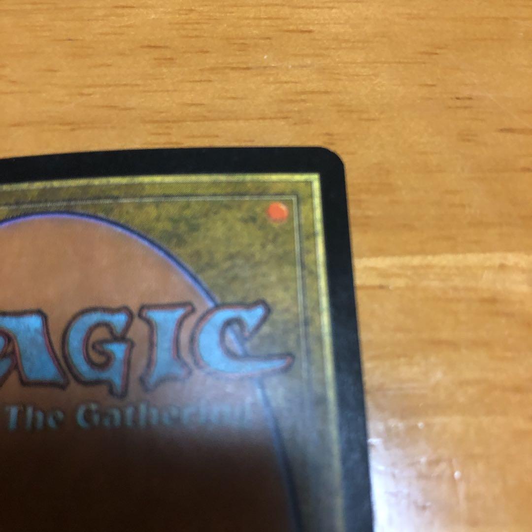 MTG 英語版　サーボ・タヴォーク　foil