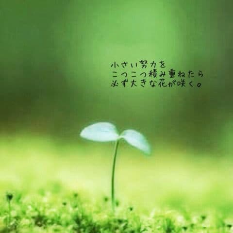 葉っぱ