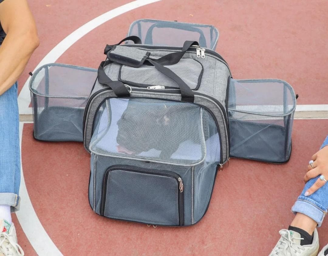 訳あり ペティーク ハッピーキャンパー ペットキャリー キャリーバッグ 犬 猫
