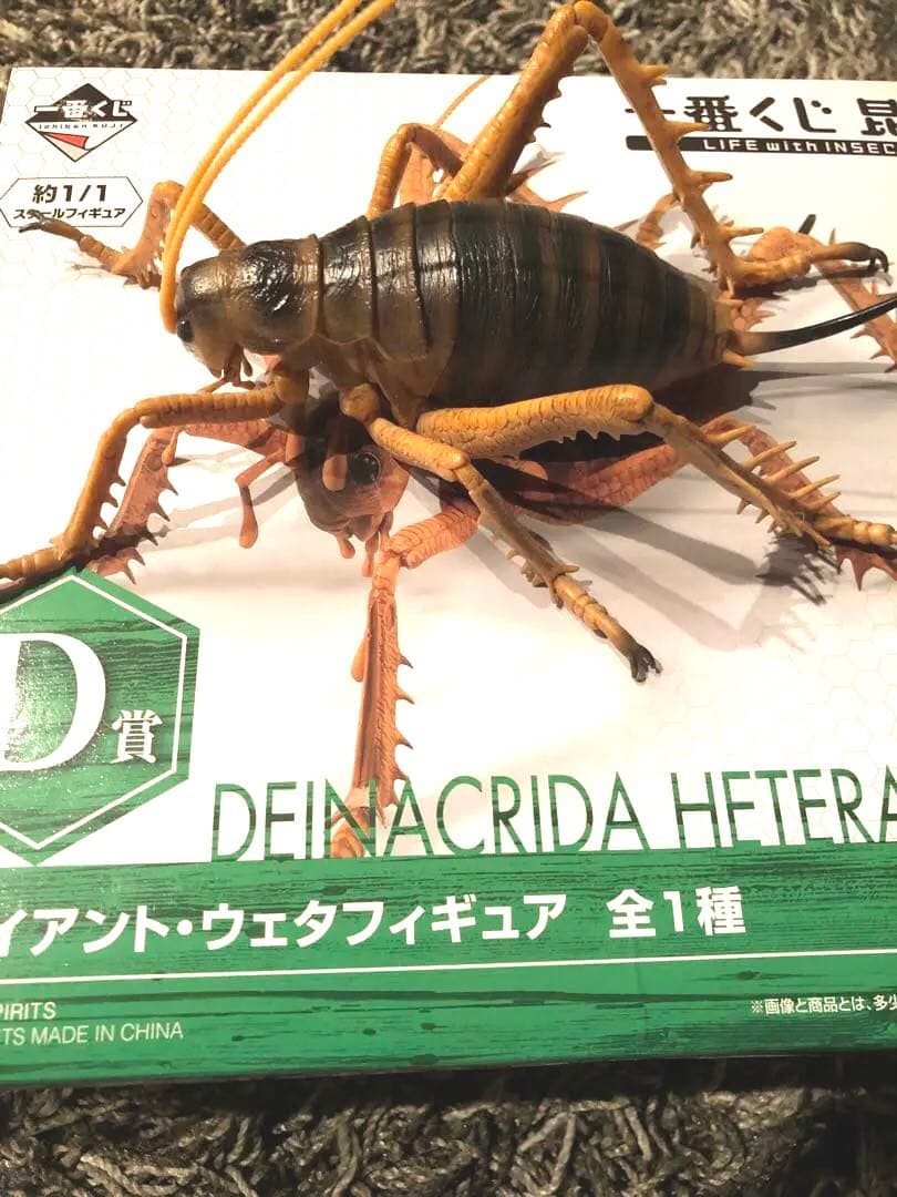 一番くじ 昆虫