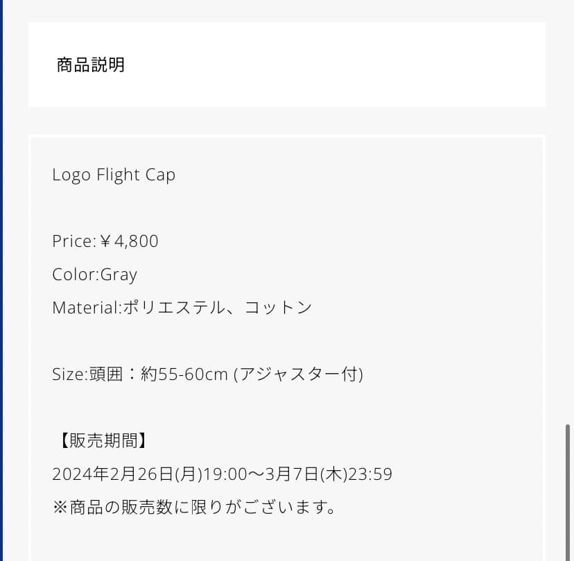 Vaundy Logo Flight Cap [Gray] ロゴフライトキャップ