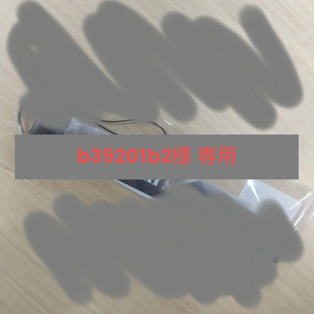 b39201b2ページ