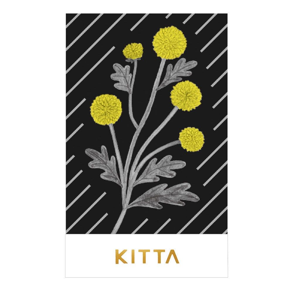 81　新作KITTAセット