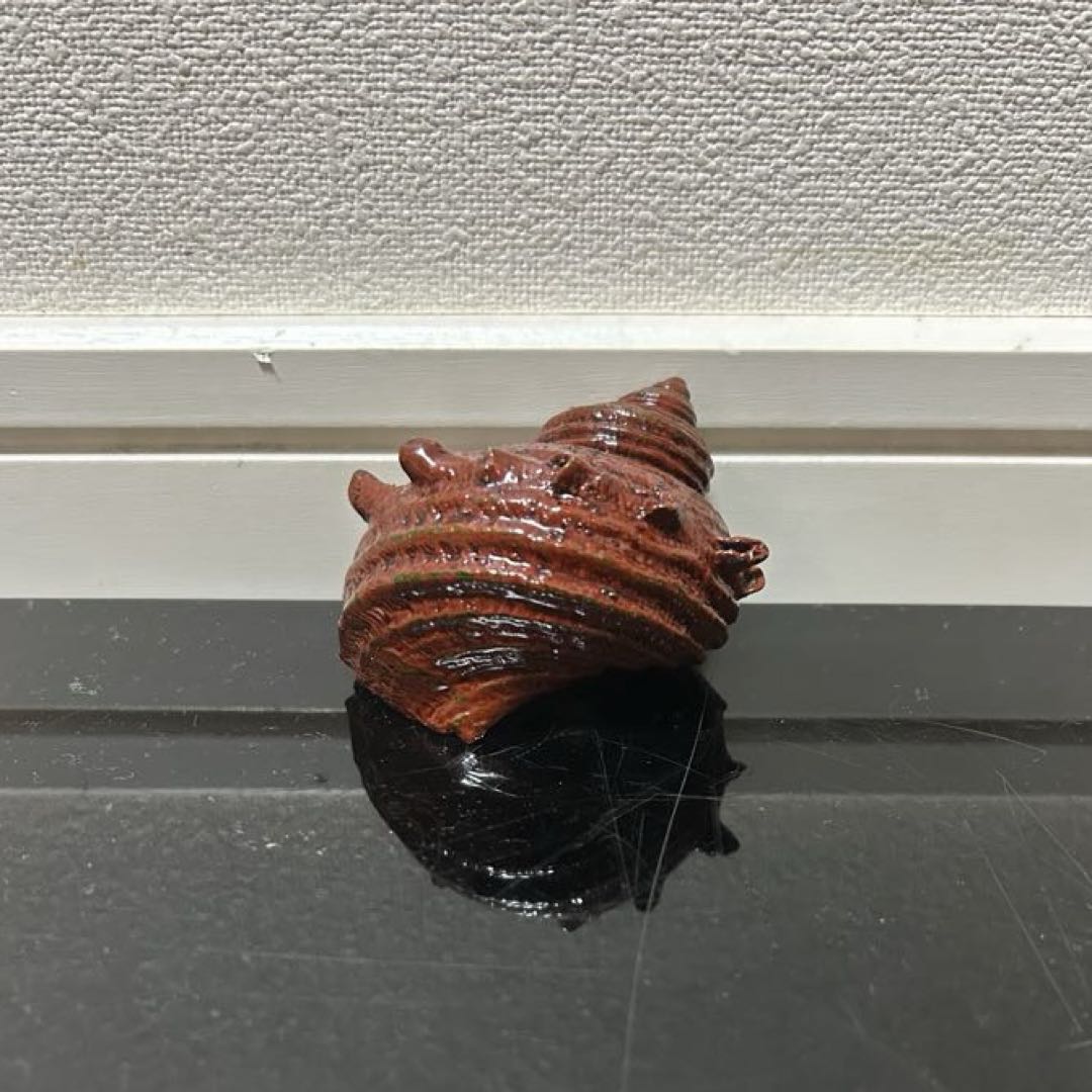 川瀬表完　天然胎さざえ香合　茶道具懐石茶箱鵬雲斎坐忘斎淡々斎即中斎茶碗水指茶杓棗