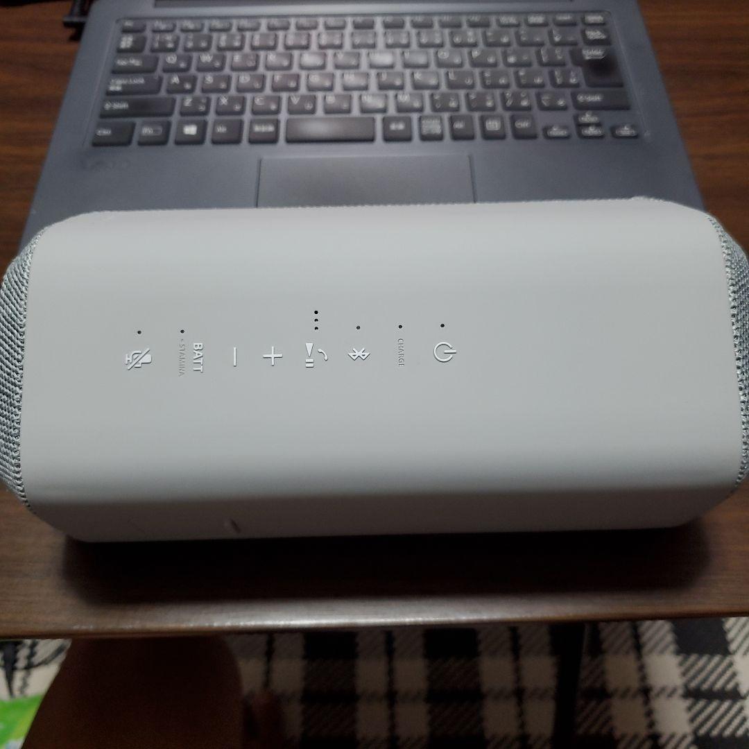 SRS-XE300 中古