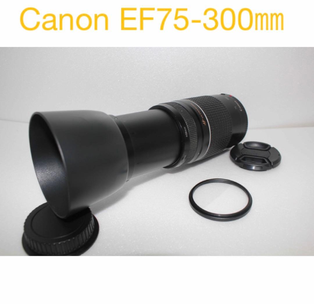 フード付/迫力の300mm/Canon EF75-300