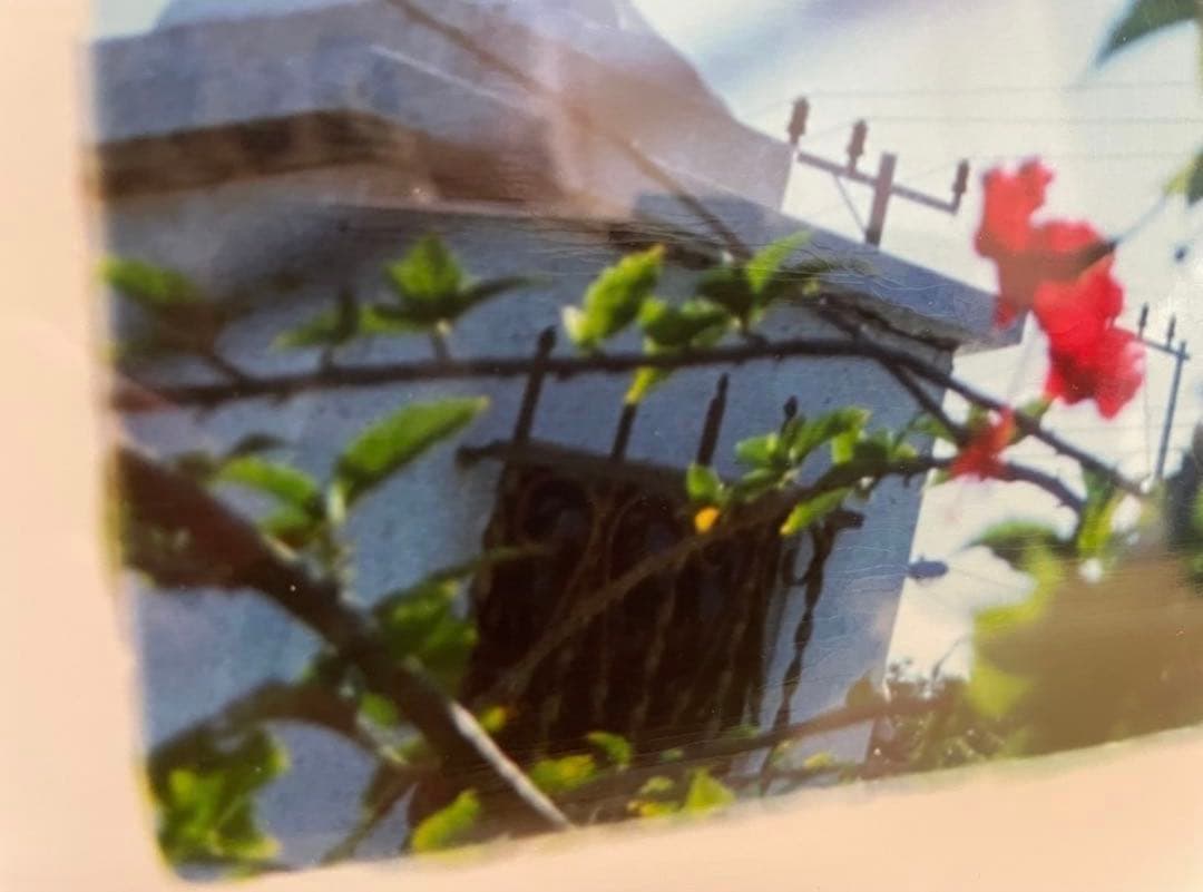 蜷川実花　BABY BLUE SKY - 1