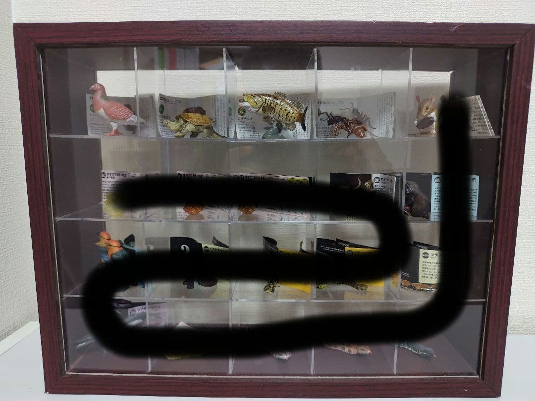 カプセルQ　日本の動物84体セット　ノーマルコンプ