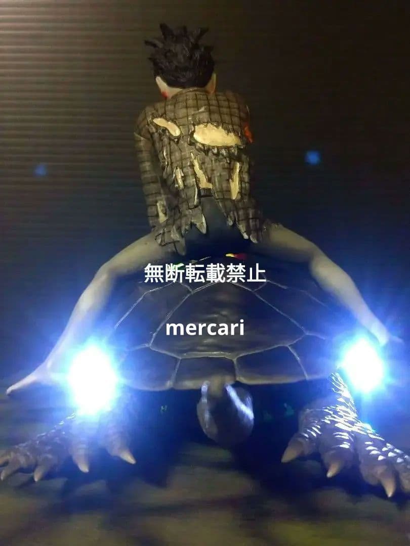 育てよカメ