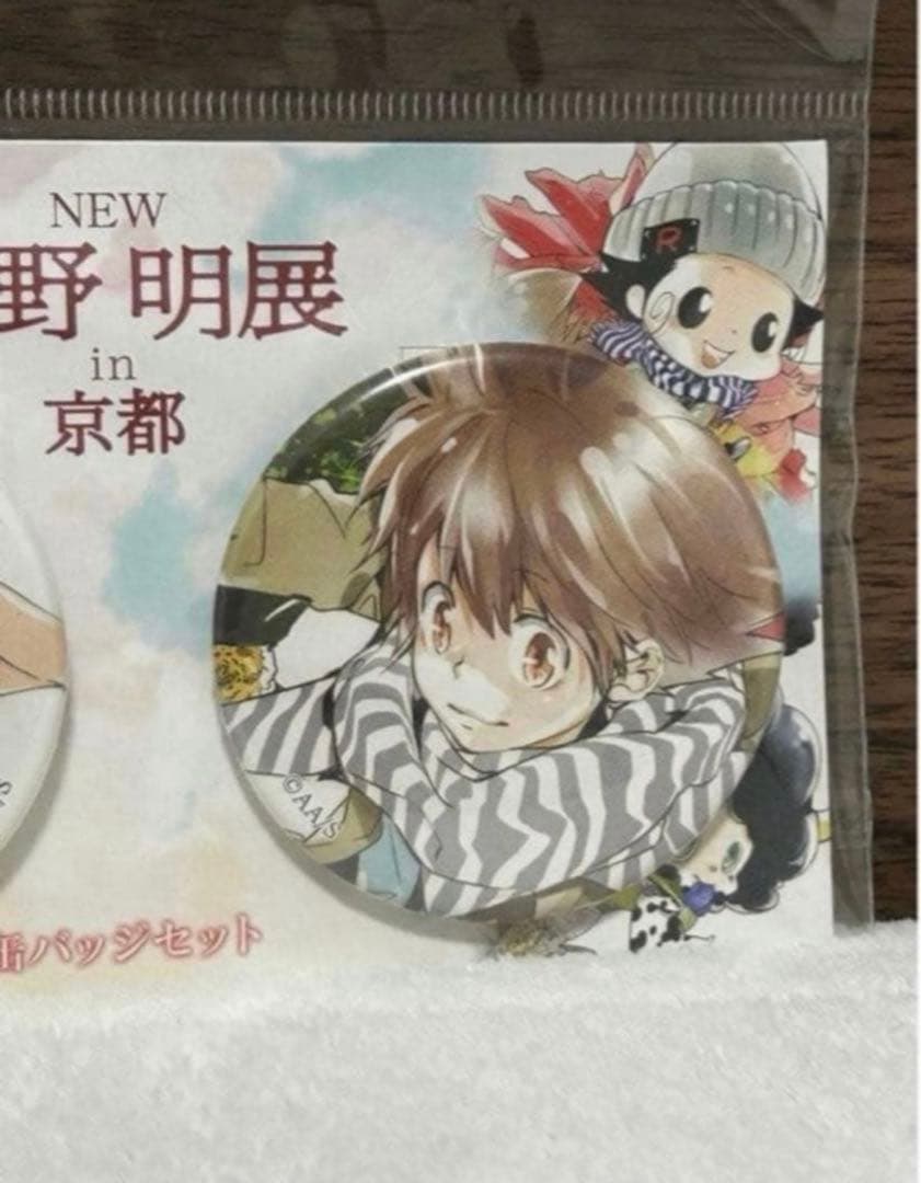 家庭教師ヒットマンREBORN! 天野明展 in 京都 缶バッジ 沢田綱吉 限定