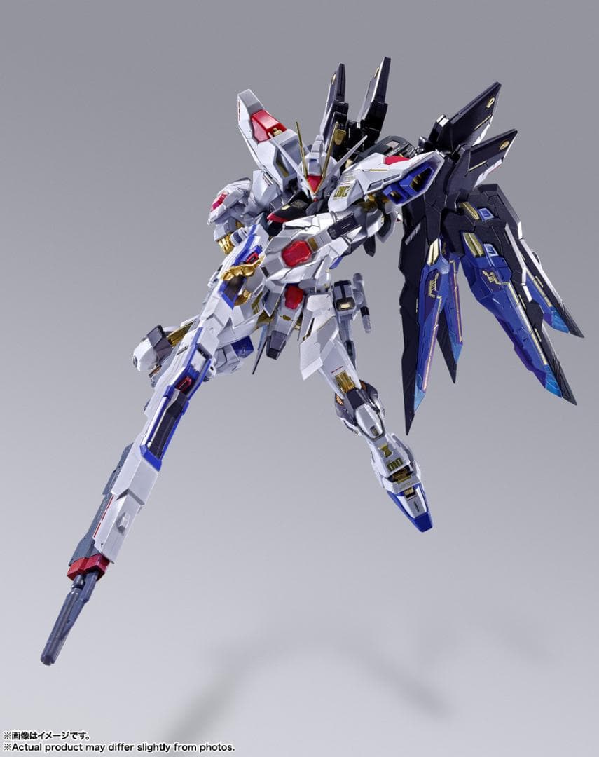 未開封 ストライクフリーダム L BUILD FESTIVAL 2024