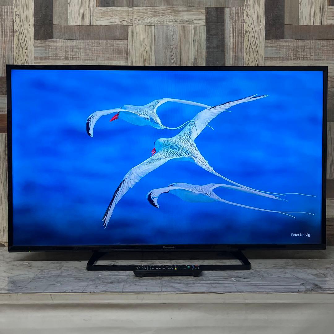 即日受渡❣️全国送料込パナソニックVIERA49V型テレビ地上デジタルBS CS