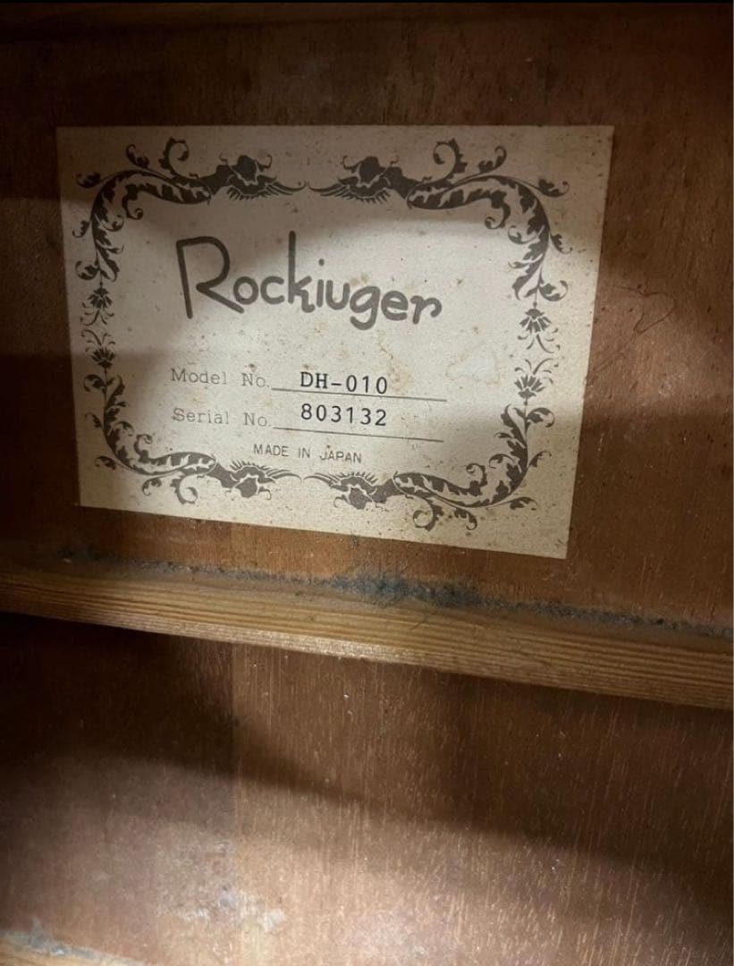 Rockiuger DH-010 アコースティックギター ソフトケースつき