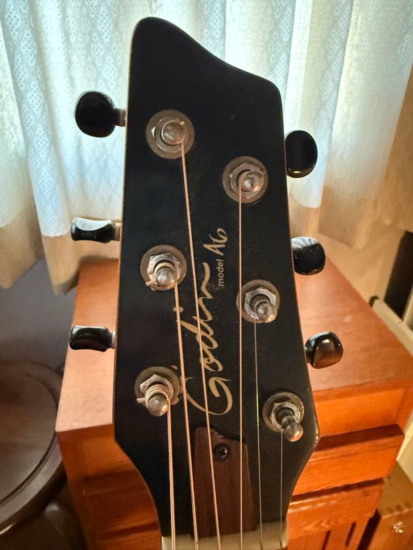 ギター Godin A6