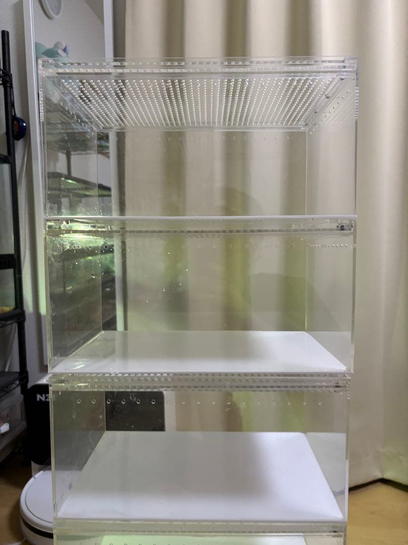 レプタイルボックス