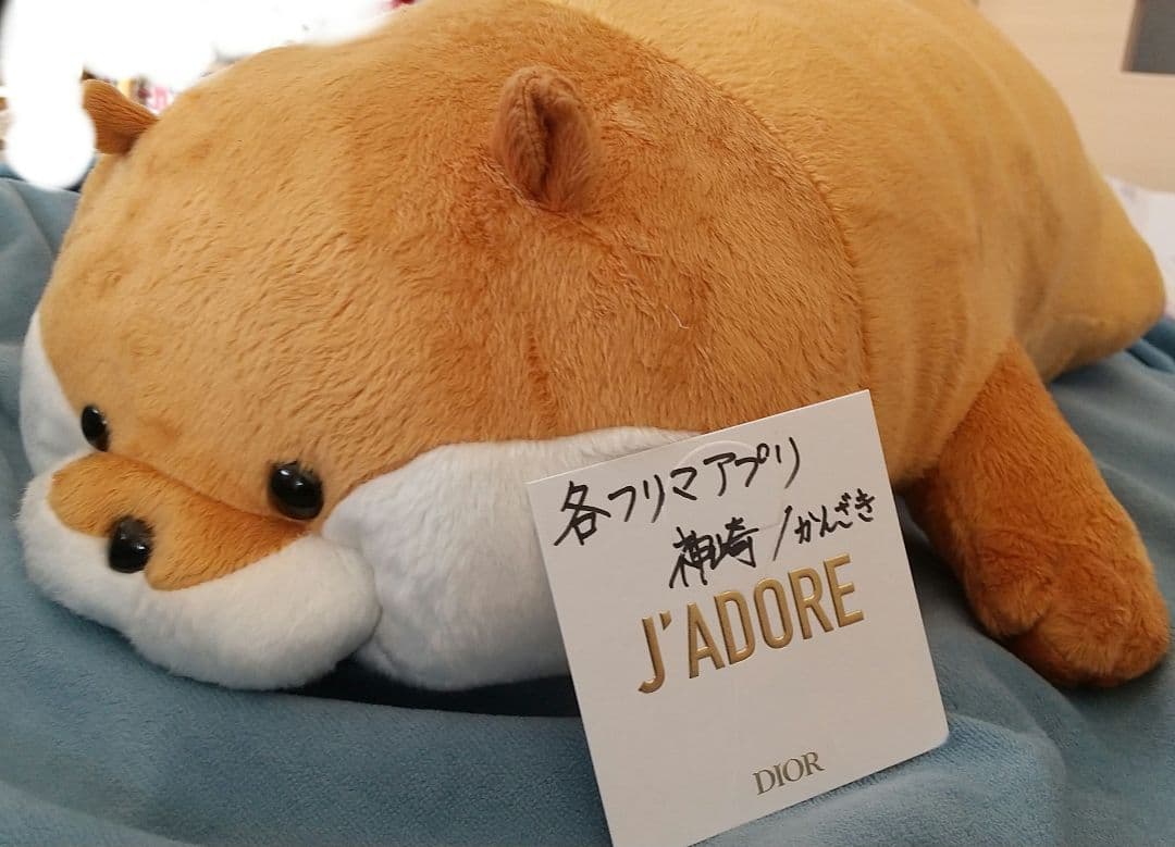 【非売品】可愛い嘘のカワウソぬいぐるみくじ特等/特賞