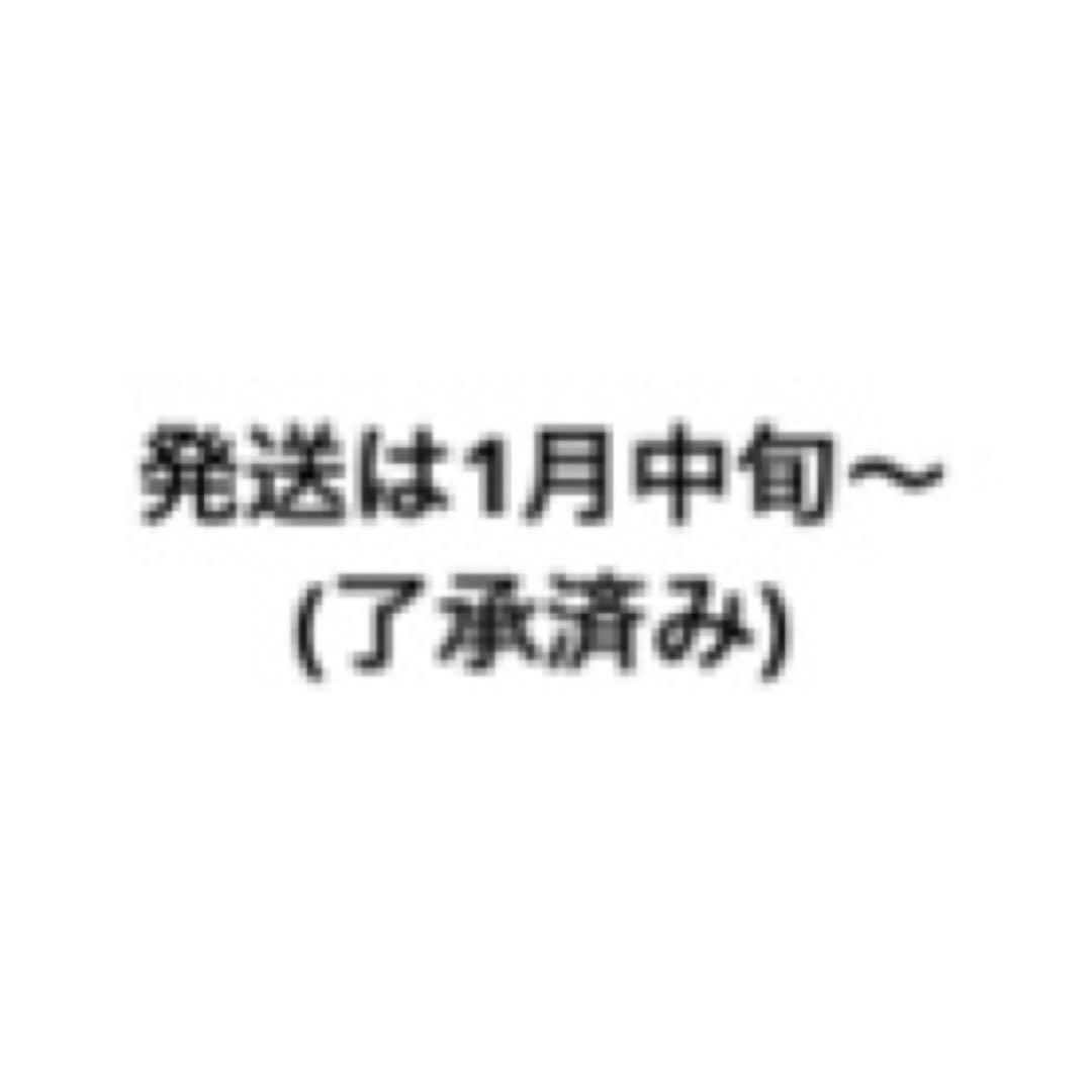 その他 1111