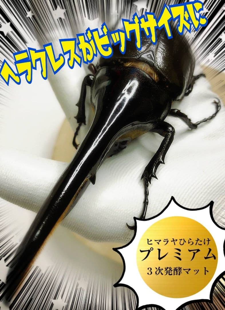 ヘラクレスが巨大化！極上☆プレミアム3次発酵マット【50L】特殊アミノ酸強化配合