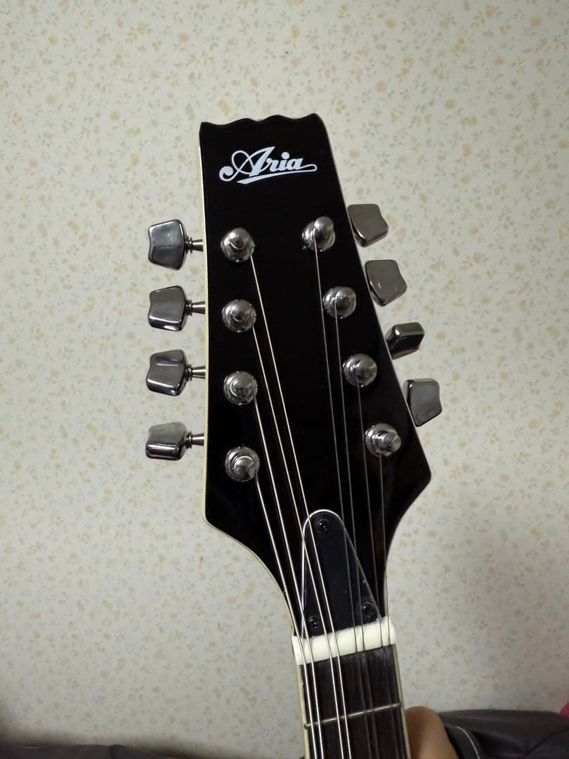 Aria AM-20 マンドリン 本体　ケース付き