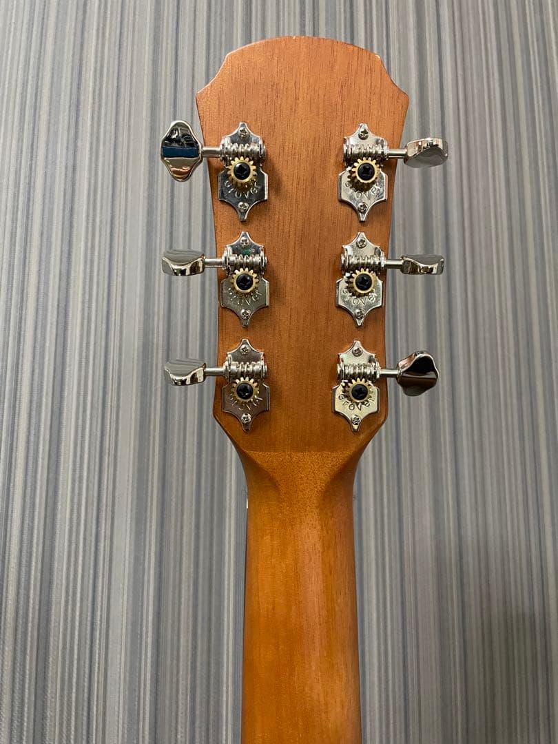 Aria アコースティックギター ARIA-100 MTN