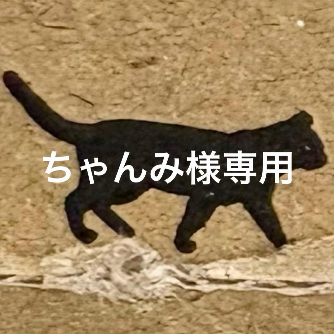 ちゃんみ品
