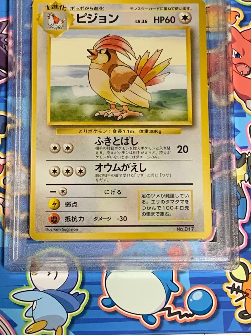 PSA7 鑑定品　ポケモンカード　初版　ピジョン　マーク無し
