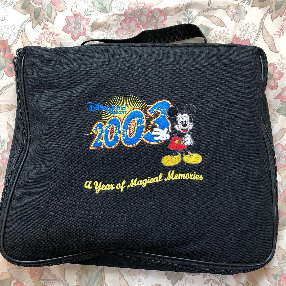 ディズニー　ピンバッジ　まとめて　TDR