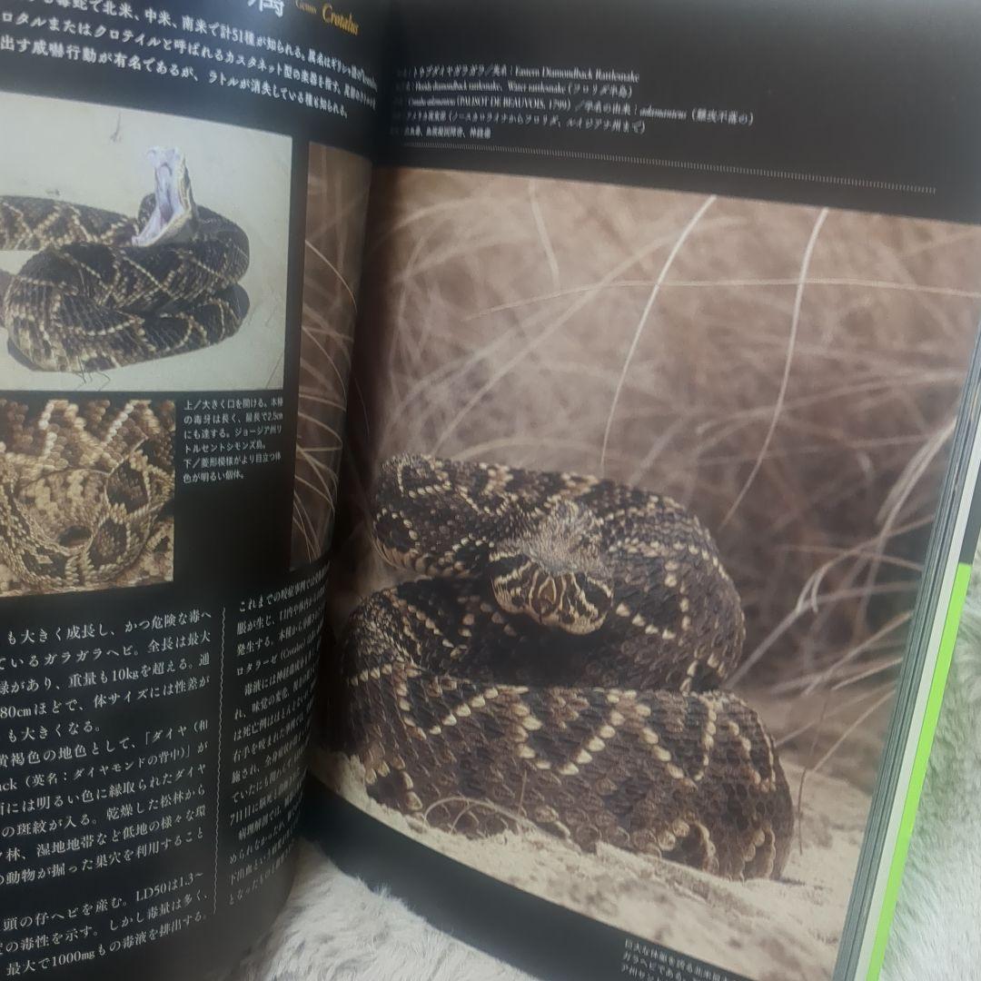 毒ヘビ全書