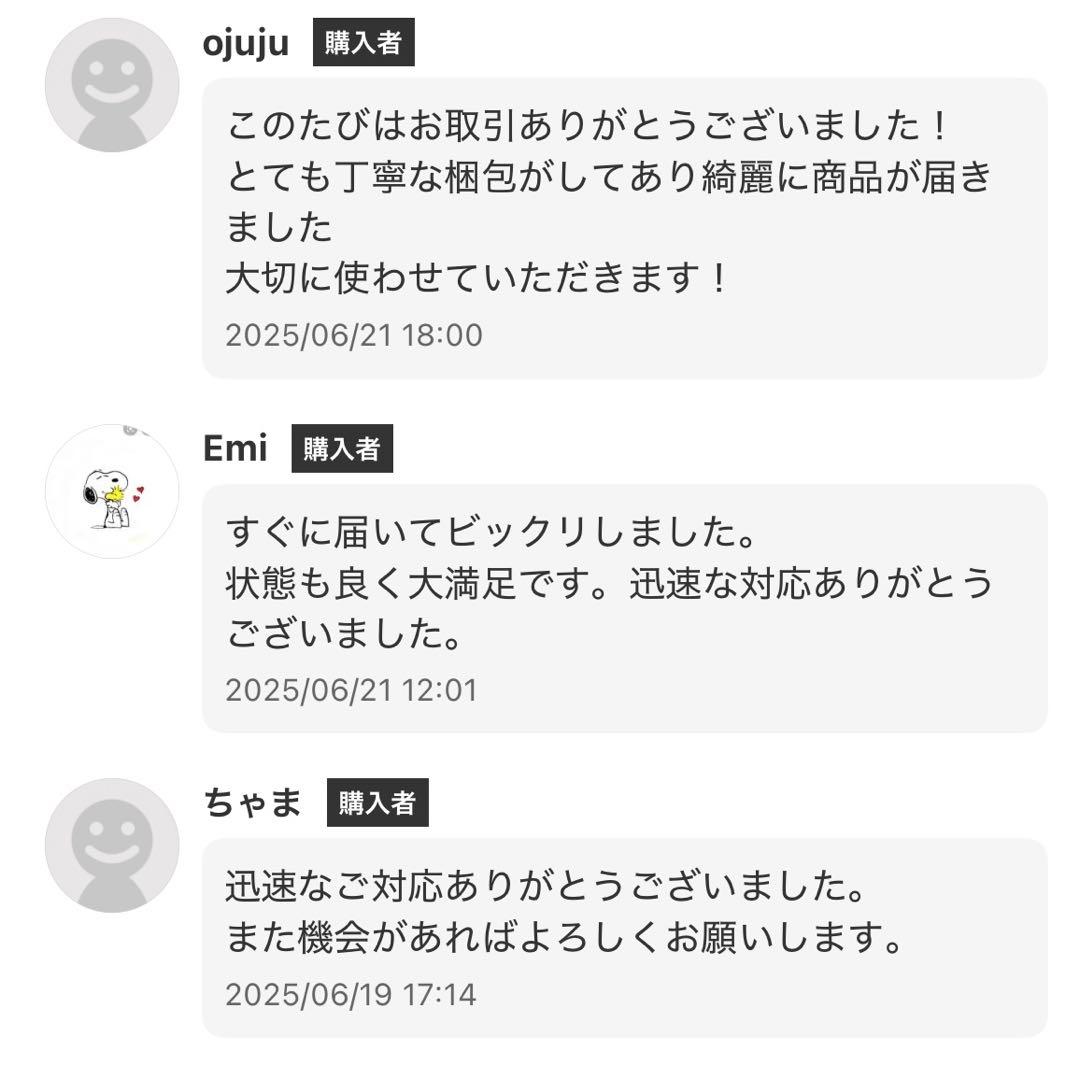 【美品】Aria&Co. アコースティックギター ヴィンテージ