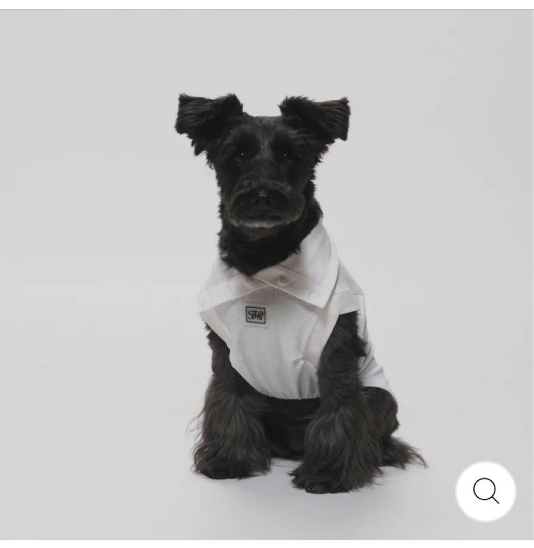 スタンディングオンザブルー　大型犬　犬服　タンクトップ