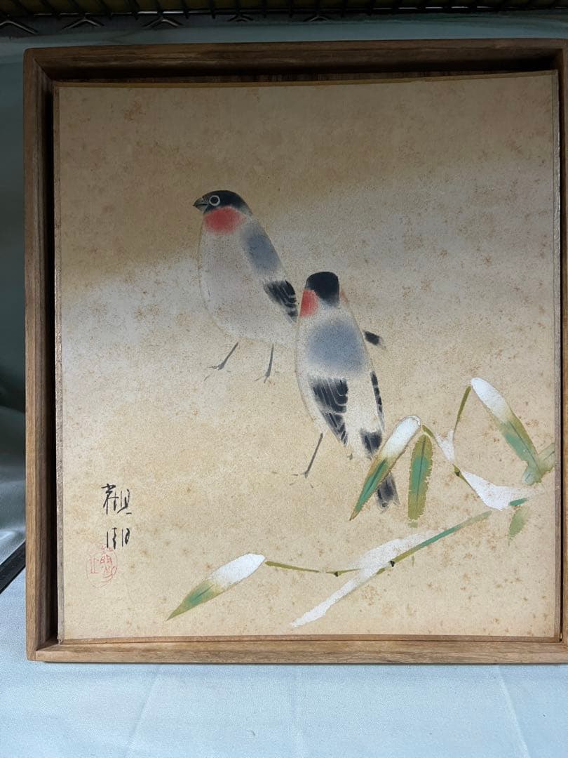 色紙