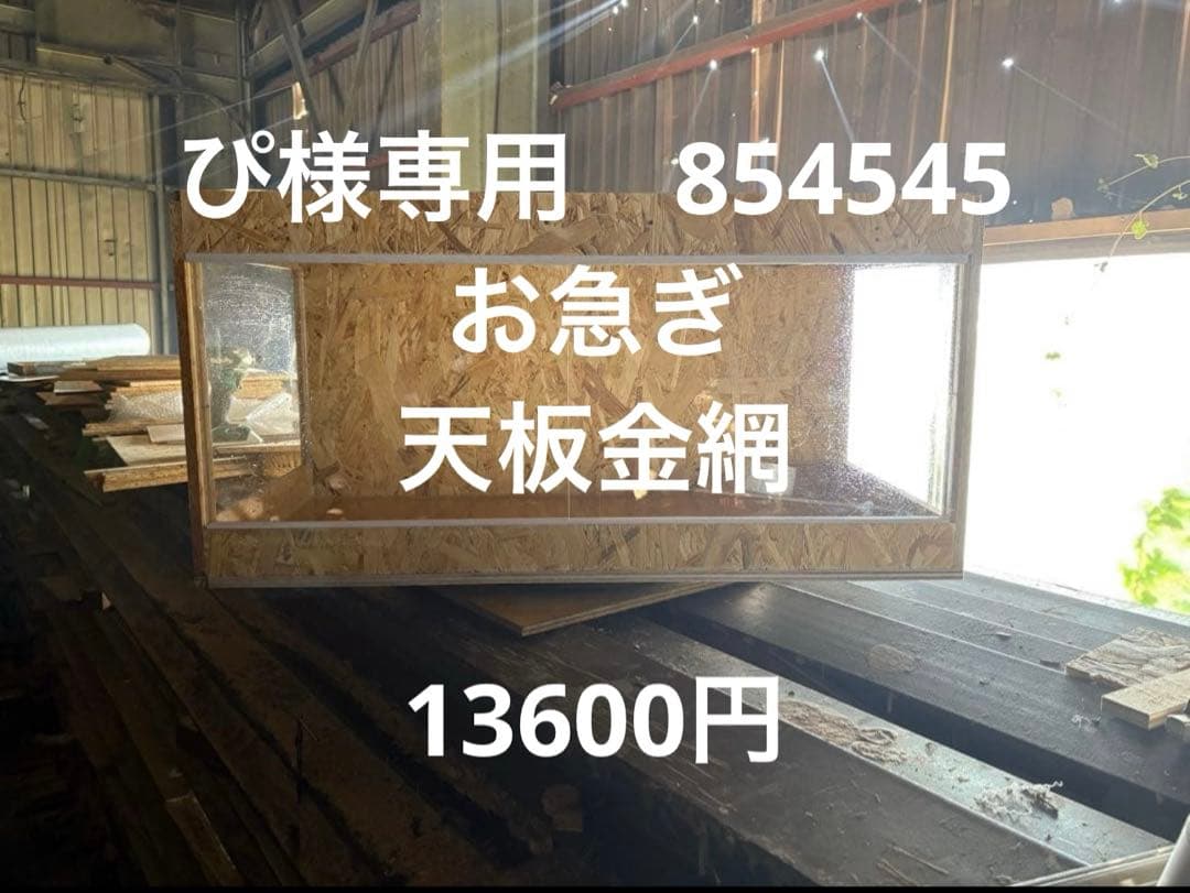 ぴ　854545