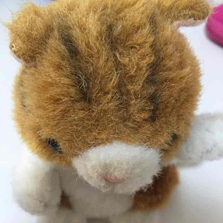 猫ぬいぐるみ