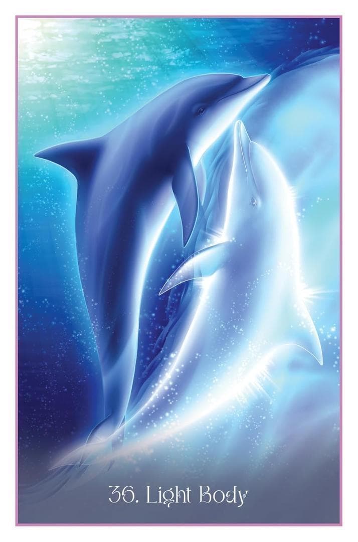 【正規品オラクルカード】美しく幻想的なイルカのデッキ✨ドルフィンハートオラクル