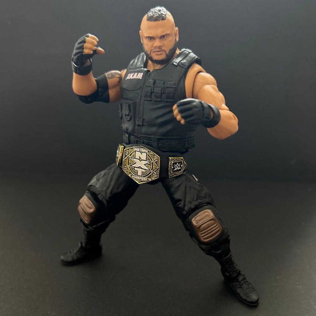 WWE Akam Elite Collection Action フィギュア