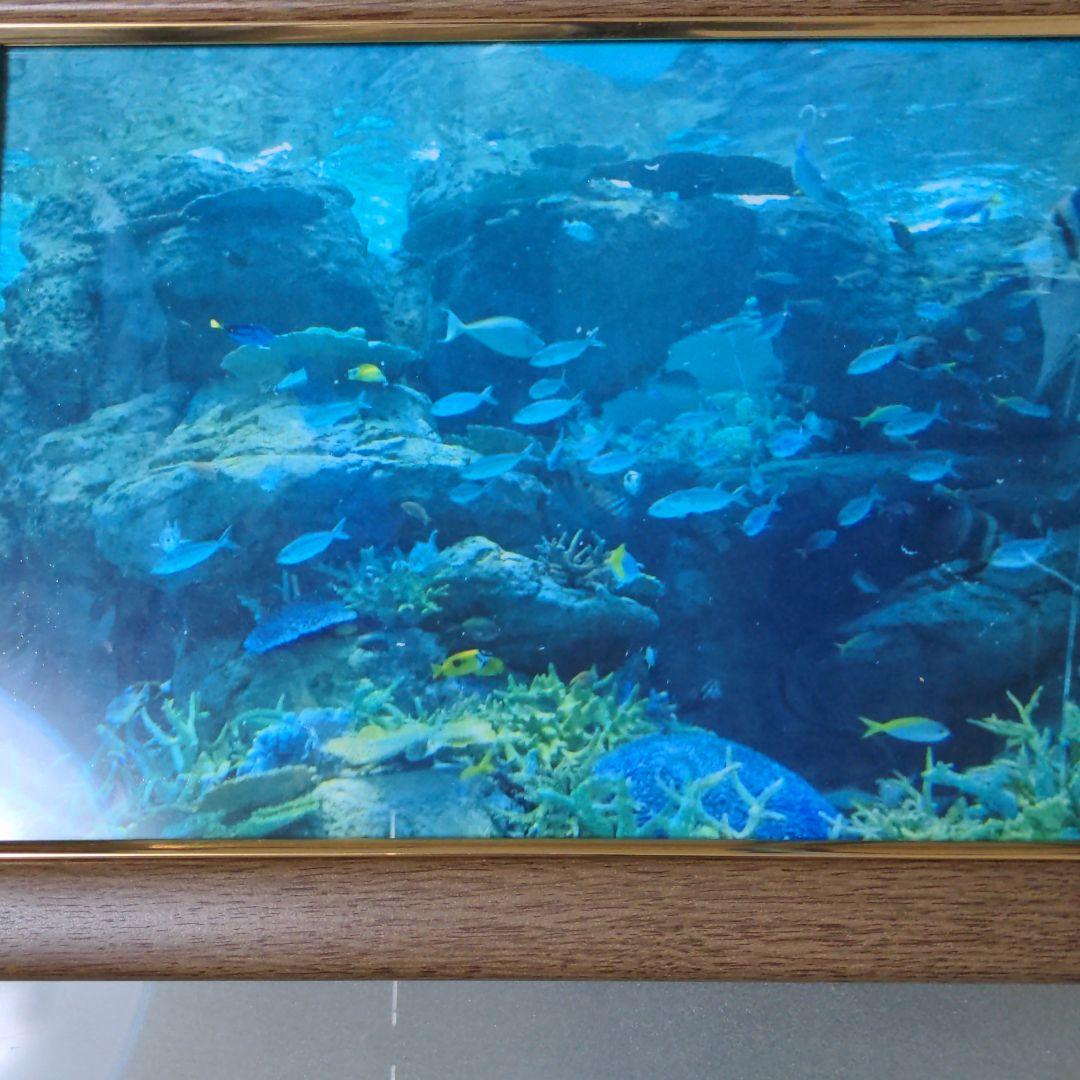 海の中