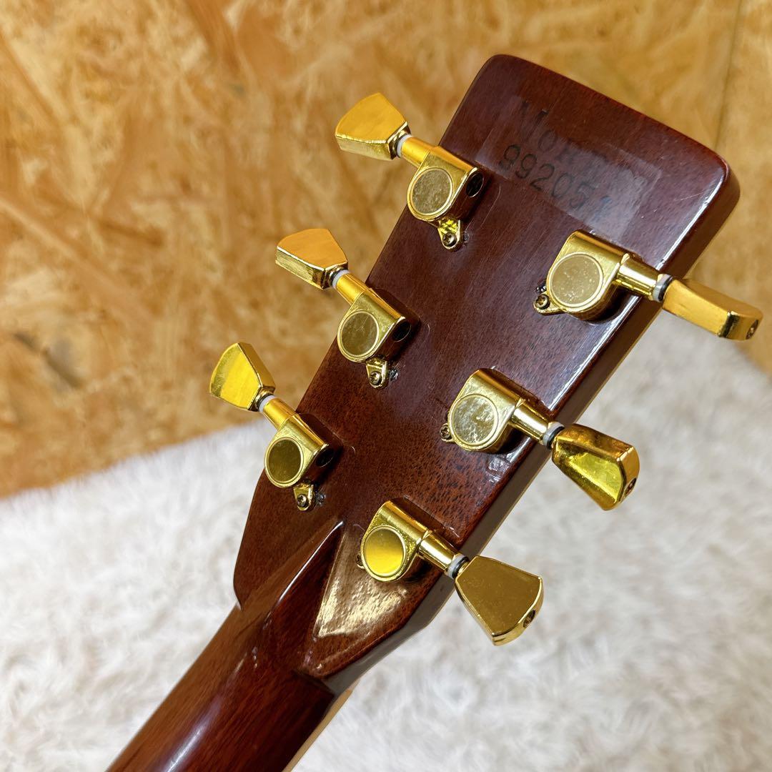 Morris TF W-50 ハカランダ 3Pバック アコースティックギター
