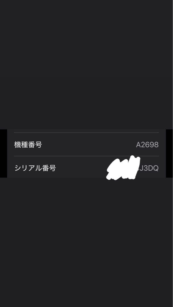 Apple AirPods Pro（第2世代） ​​​​​​​ 充電ケース付き