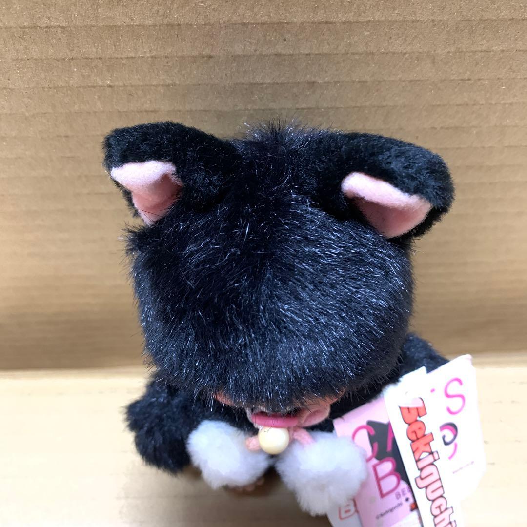 【希少】ベビチッチ　男の子　黒ネコ