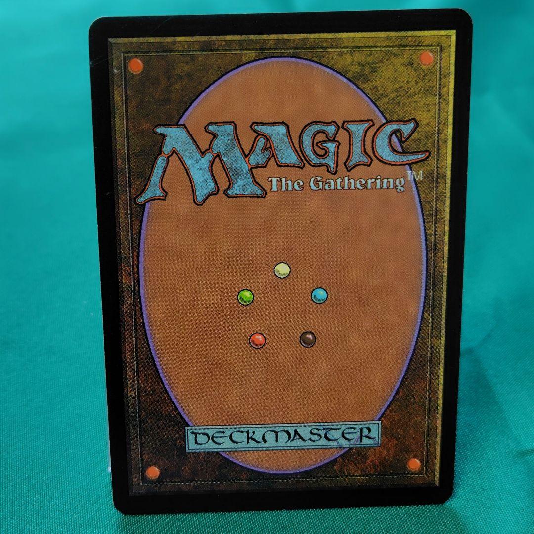 MTG 大地の知識 ２枚セット
