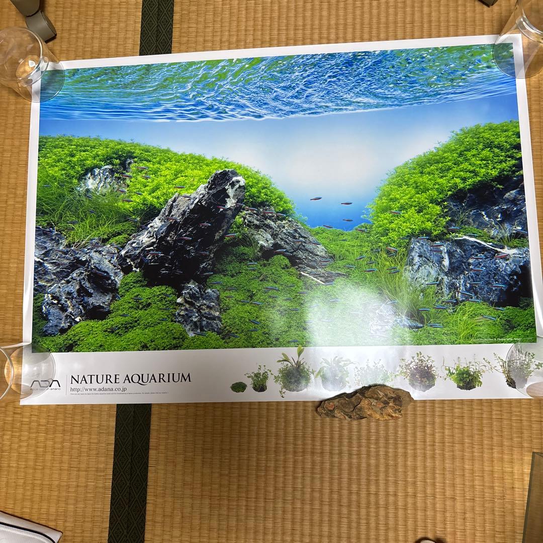 ADAポスター2種
