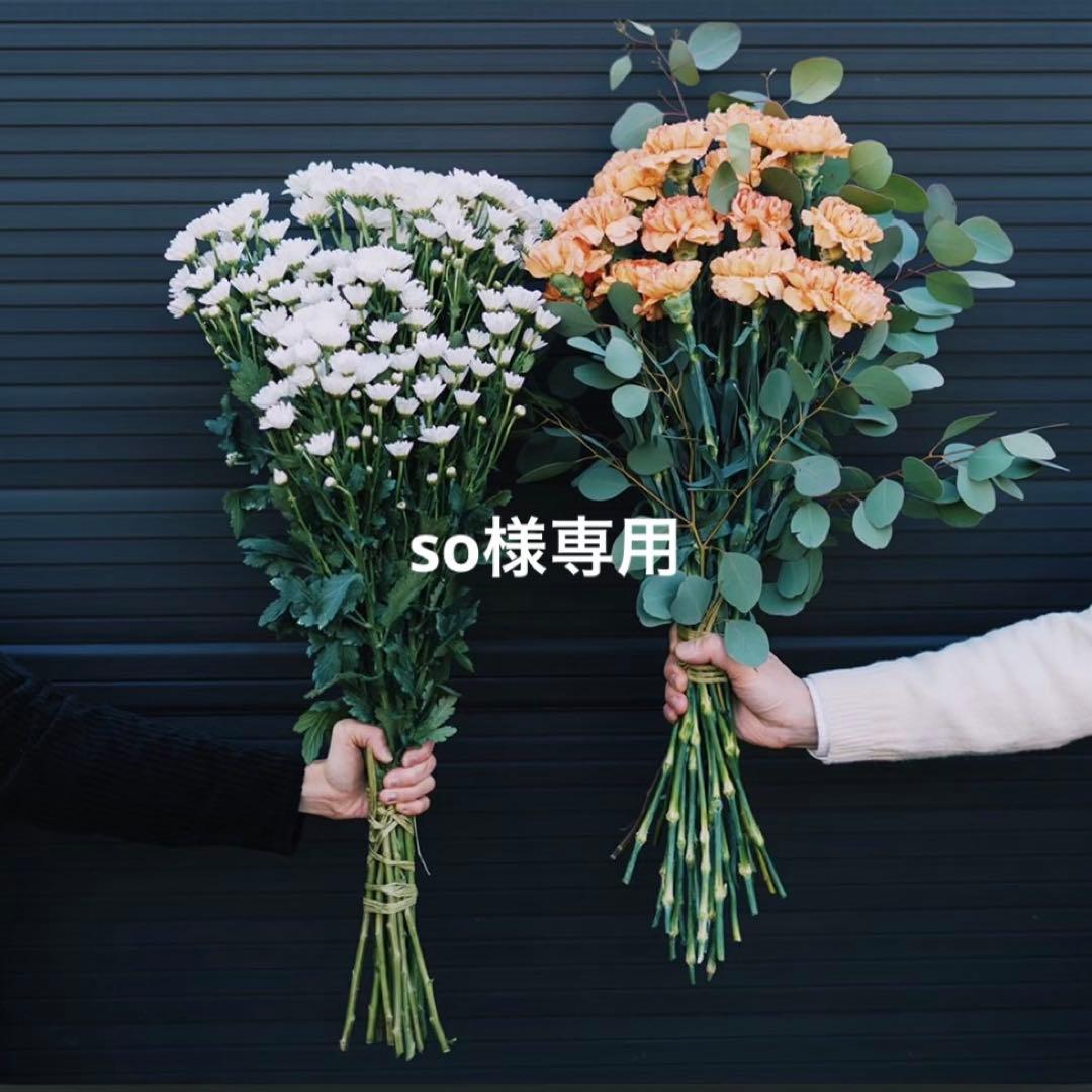 小物 so