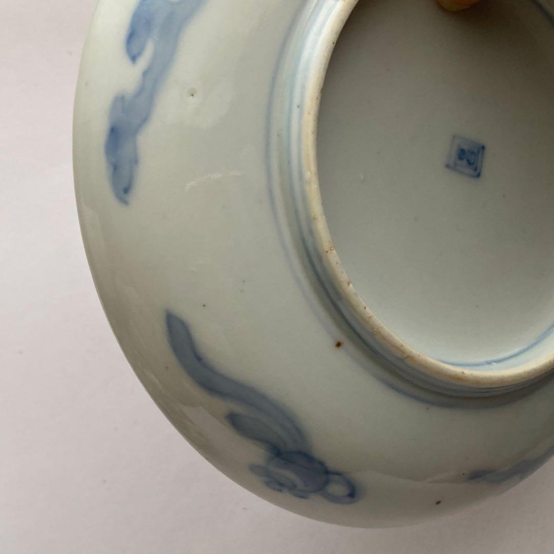 赤絵蝶赤絵皿　器　九谷焼や犬山焼、香蘭社や柿右衛門、大聖寺伊万里、古伊万里好きに