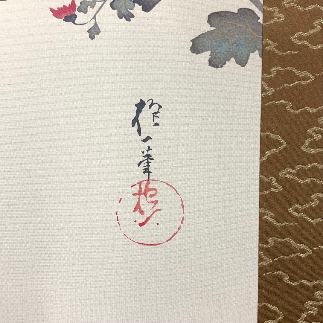 掛軸 酒井抱一 菊に小禽図 十二ヶ月花島図 木箱 工芸 太巻 7-25