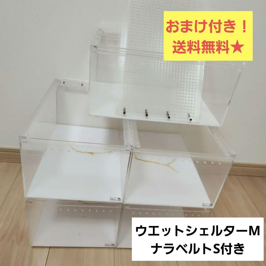 てんぷら