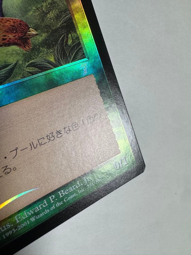 【希少】MTG 7版日本語旧枠Foil極楽鳥/Birds of Paradise