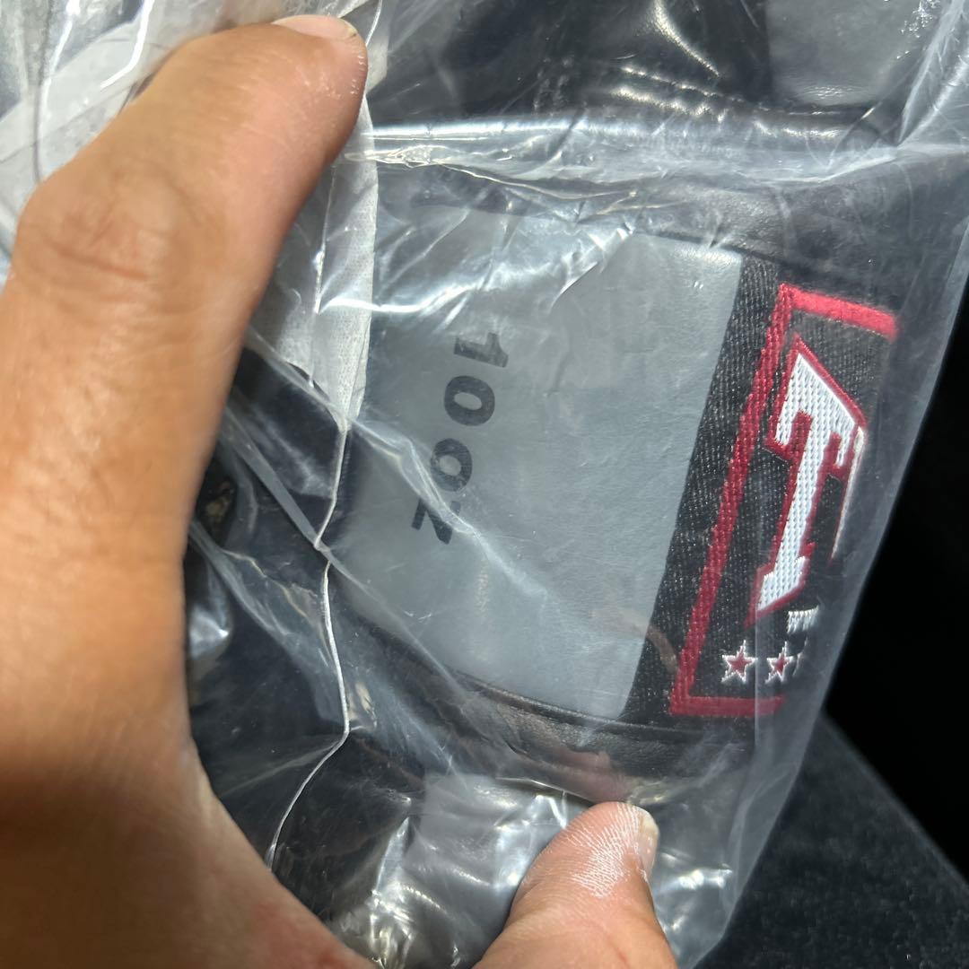 twins ツインズ　ボクシンググローブ　キックボクシング　ムエタイ　10オンス